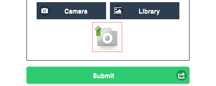 upload photo and tap sumbit
